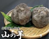 餃子お好み焼き！デラックスバージョン作り方11写真