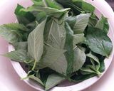 とろみ最大限に!モロヘイヤの茹で方と保存作り方4写真