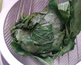 とろみ最大限に!モロヘイヤの茹で方と保存作り方8写真