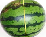 パクパク☆種無しカットスイカの作り方作り方2写真