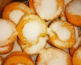 杏のコンポート作り方1写真