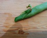 最も時短で美味しく！いんげん豆の茹で方作り方2写真
