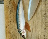 簡単、魚の捌きかた作り方1写真
