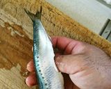 簡単、魚の捌きかた作り方3写真