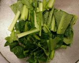 厚揚げと鶏肉の煮物作り方4写真