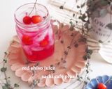 疲労回復☆貧血予防☆赤紫蘇ジュース作り方9写真