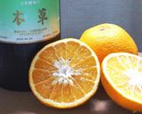大和酵素（本草）シトラスアイスティー作り方1写真