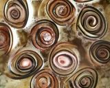 ロールなすベーコンのコンソメスープ煮作り方9写真