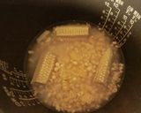 簡単★とうもろこしの炊き込みご飯作り方3写真