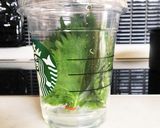 大葉の保存方法作り方2写真