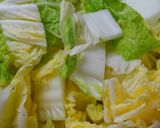 簡単！鶏むね肉と白菜の味噌ケチャップ煮♡作り方1写真