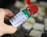 さば缶と豆腐、韮のチャンプルー作り方3写真