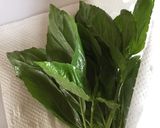 生バジル長持ち保存方法作り方2写真