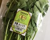 しおれルッコラ復活 方法作り方1写真