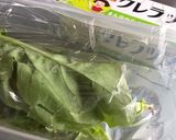 しおれルッコラ復活 方法作り方3写真