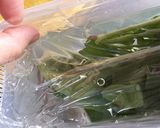 しおれルッコラ復活 方法作り方4写真