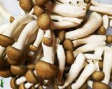 簡単！春菊としめじの醤油ツナマヨ炒め作り方3写真