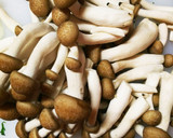 簡単！春菊としめじの醤油ツナマヨ炒め作り方3写真