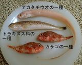 小魚やトマトで取る出汁作り方1写真