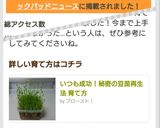 いつも成功!秘密の豆苗再生法 育て方作り方13写真