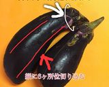 超簡単★絶品おつまみ!焼き茄子★作り方1写真