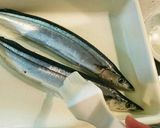 秋刀魚のおいしい塩焼き作り方2写真