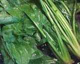 【簡単】ほうれん草のピリ辛炒りごま和え作り方1写真