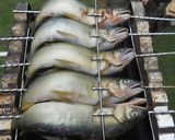 備長炭で炭火焼!!鮎の塩焼き作り方4写真