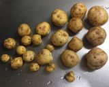 素揚げポテトとツナのレモン醤油作り方1写真