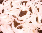 愛され♡我が家の甘めな豚肉の生姜焼き♪作り方2写真