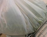 ダイナミックに！朝採り大量枝豆の茹で方作り方7写真