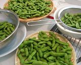 ダイナミックに！朝採り大量枝豆の茹で方作り方11写真