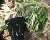 鯖の水煮缶とニラもやしのニンニクマヨ炒め作り方3写真