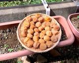 お酢で梅干し作り方9写真