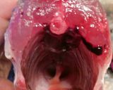 フライパンで簡単＊アジのアクアパッツァ風作り方5写真