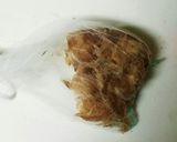 アク取りおまかせ　しじみの味噌汁作り方4写真