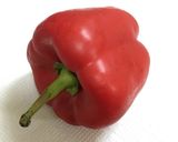 ポルトガルの万能調味料 マッサソース作り方1写真