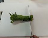 豚肉と余り野菜の梅じそ炒め☆彡.。作り方1写真