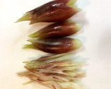 みょうがの酢味噌和え 簡単 おつまみ作り方1写真