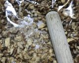 低糖質ダイエットおから&麦の胡桃クッキー作り方6写真