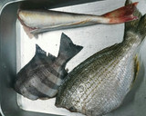 簡単本格白身魚の煮付け作り方1写真