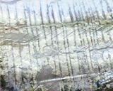 太刀魚の刺身 三種作り方11写真