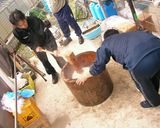 硬くならない☆不思議なお餅の作り方～♪作り方4写真