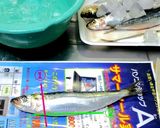 鰯の刺身 with 葱生姜作り方5写真