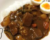 ゴーヤと夏野菜のカレー、色あざやか!作り方9写真