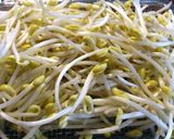 豆もやしのナムル　グランシェフ作り方1写真