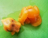 ジャムやゼリーに！簡単、びわの下ごしらえ作り方4写真
