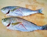 【釣食】イサキのアクアパッツア作り方4写真