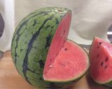 すいかちょうちん作り方2写真