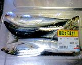 鰯の刺身 with 葱生姜作り方4写真